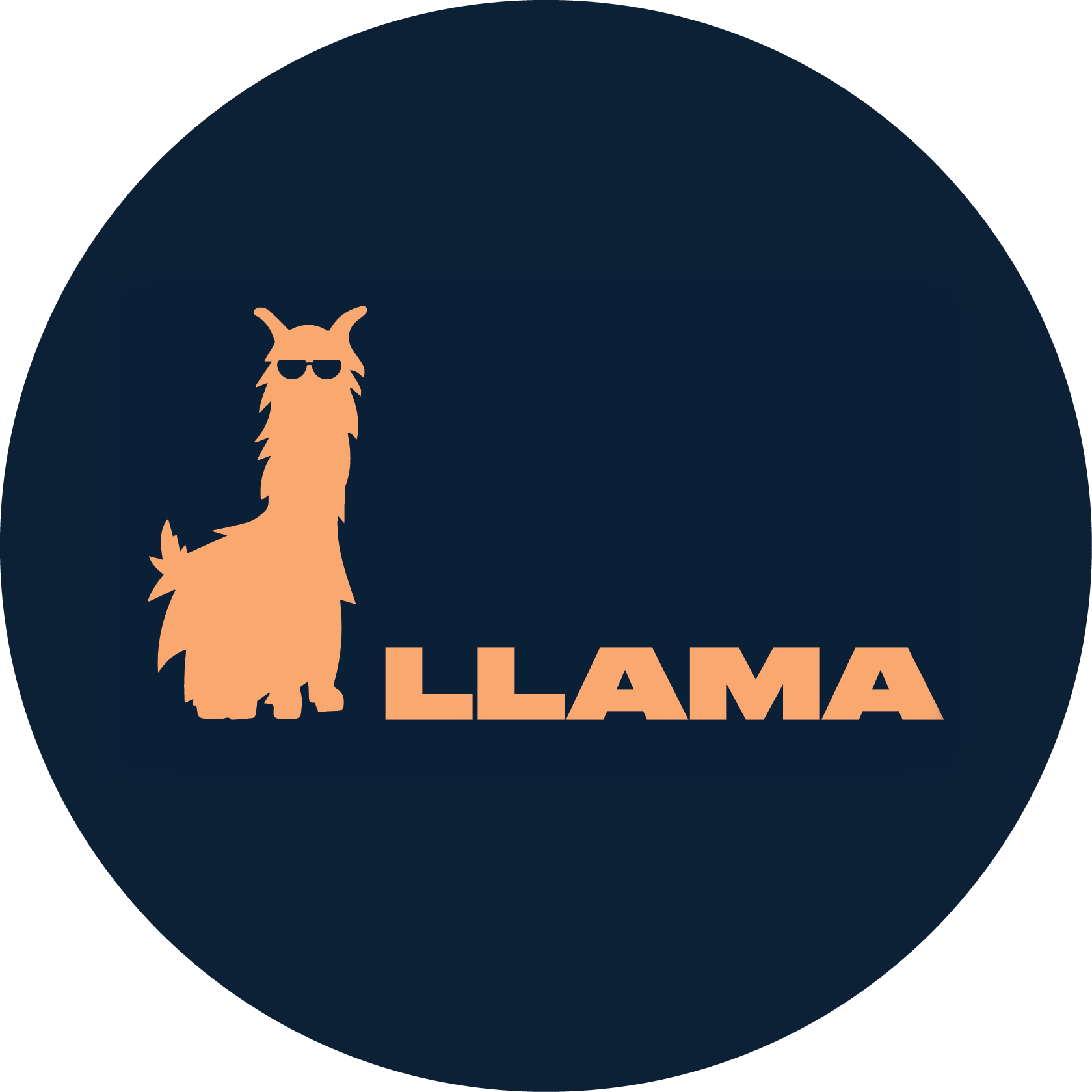 Llama Films sunglasses llama and original LLAMA wordmark